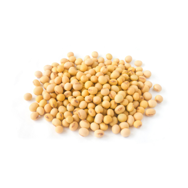 SOYBEAN NON GMO