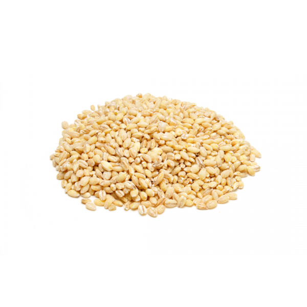 BARLEY ANIMAL FEED